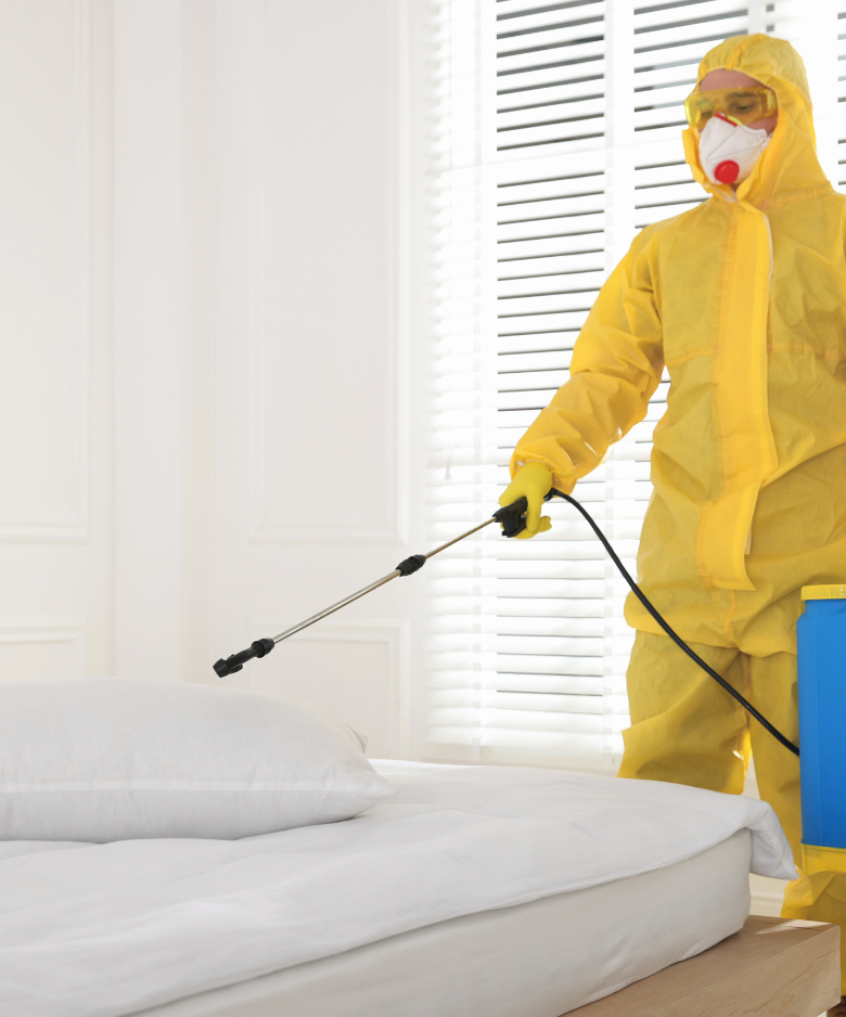 Professional Pest Control Team in Concordia